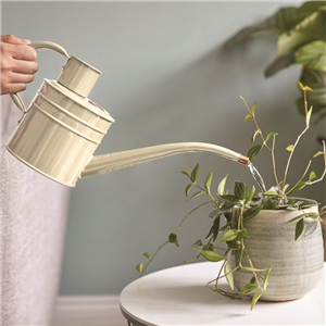 Home & Balcony Watering Can 1ltr Ivory